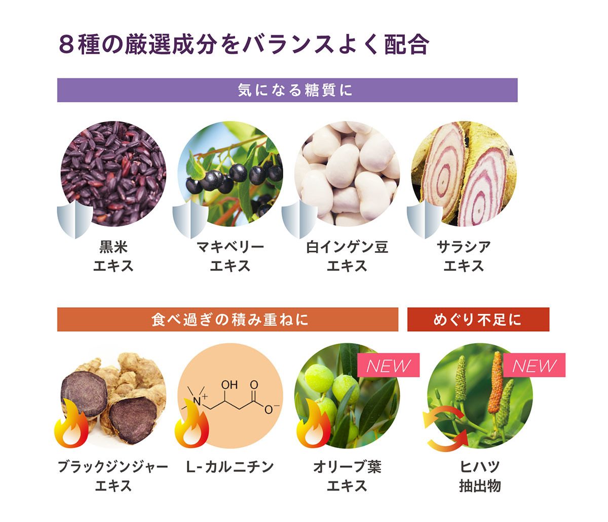 美味しい食事を、より美味しくいただくために！ダイエットサポート 